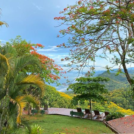 Pacific Edge Eco Lodge 多米尼克 外观 照片