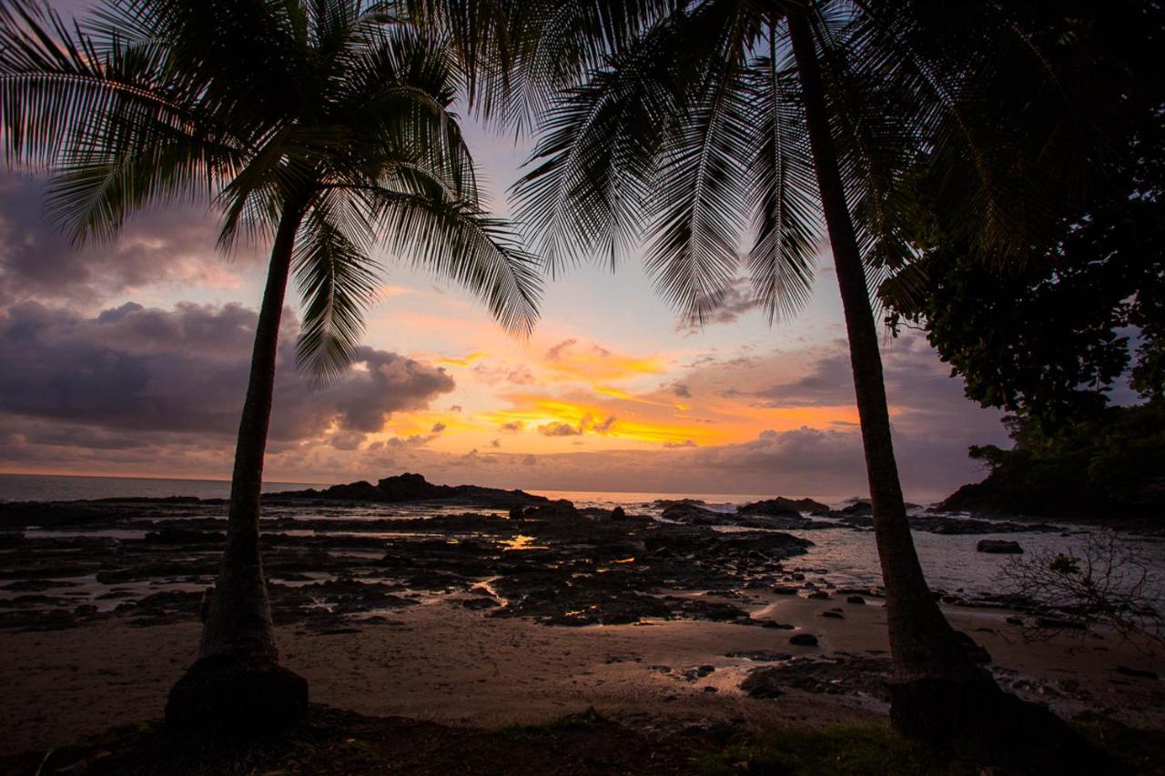 Pacific Edge Eco Lodge 多米尼克 外观 照片