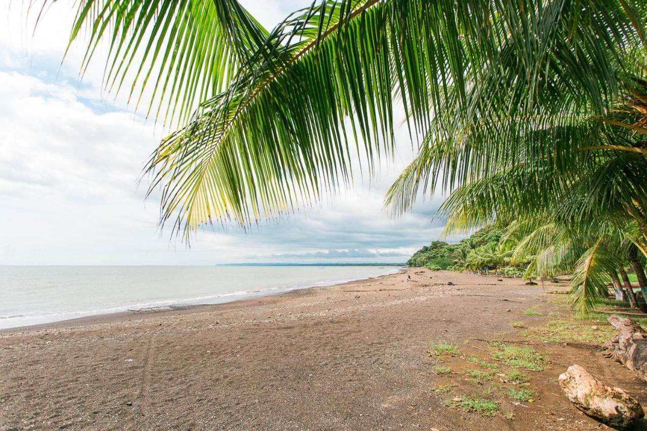 Pacific Edge Eco Lodge 多米尼克 外观 照片