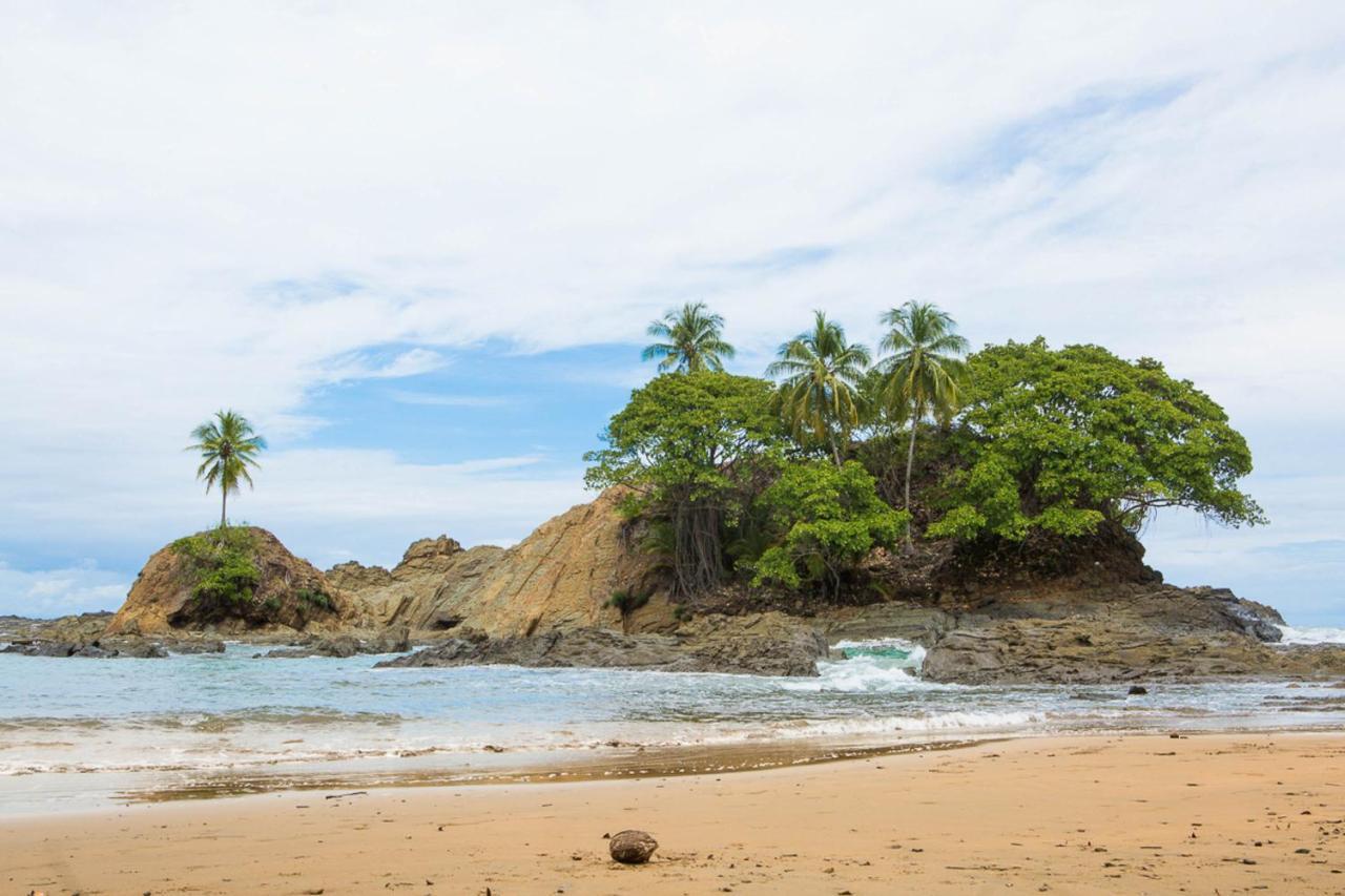 Pacific Edge Eco Lodge 多米尼克 外观 照片