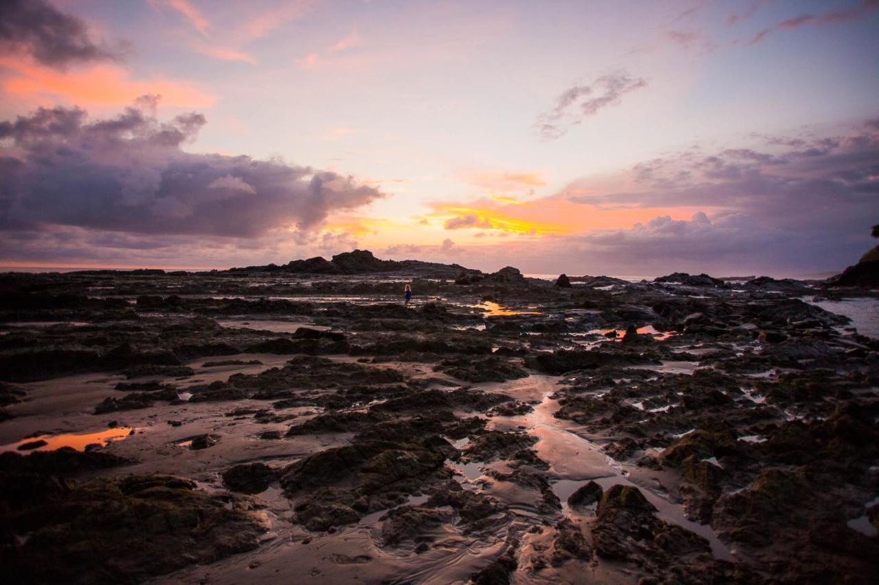 Pacific Edge Eco Lodge 多米尼克 外观 照片