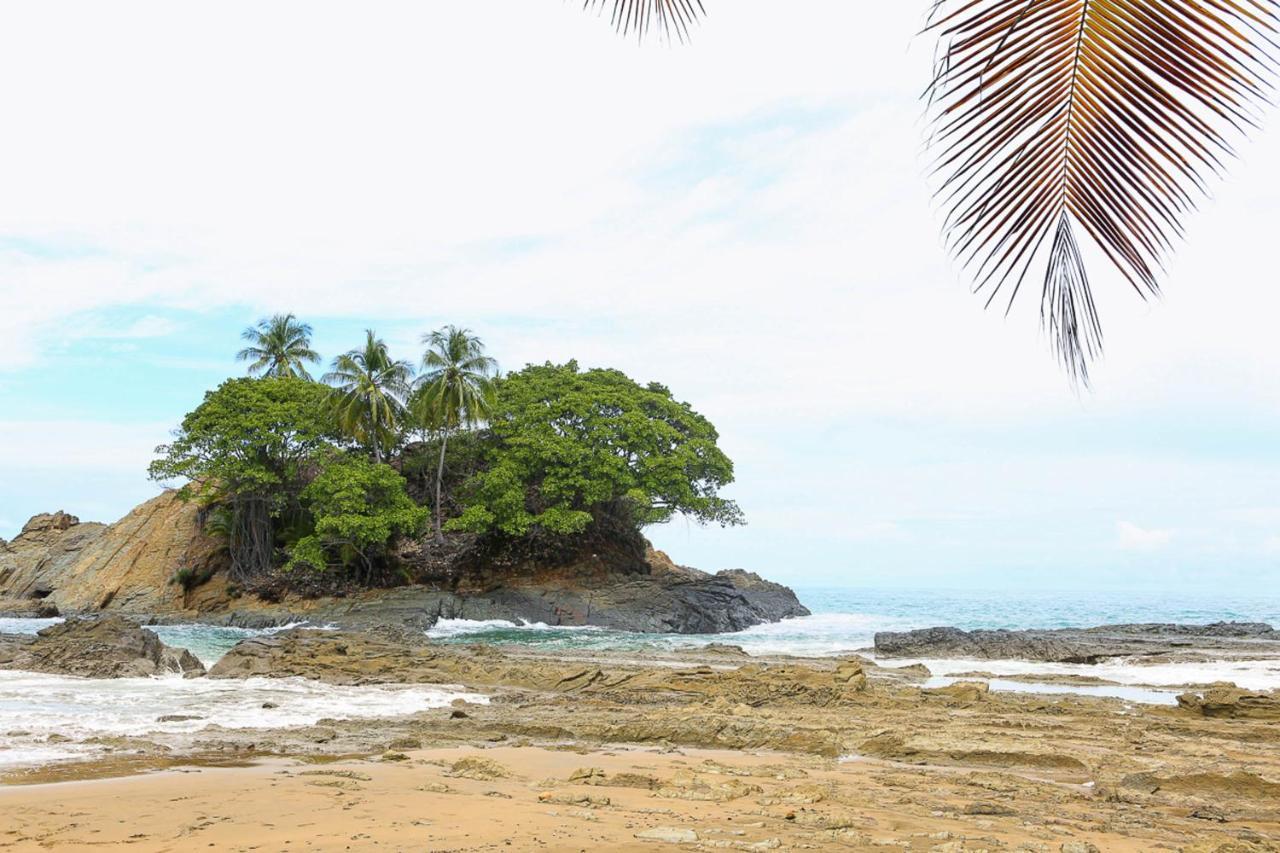 Pacific Edge Eco Lodge 多米尼克 外观 照片