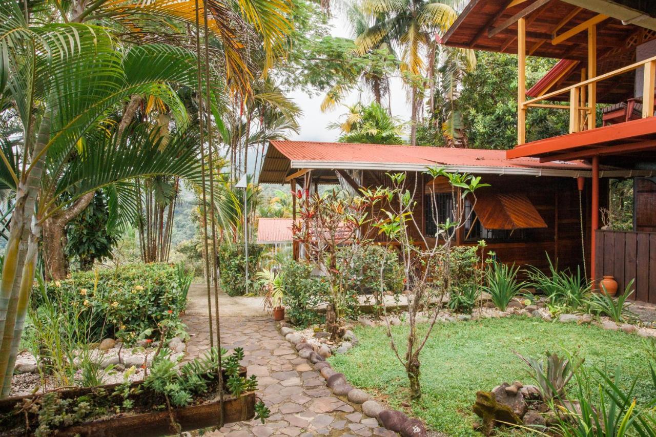 Pacific Edge Eco Lodge 多米尼克 外观 照片