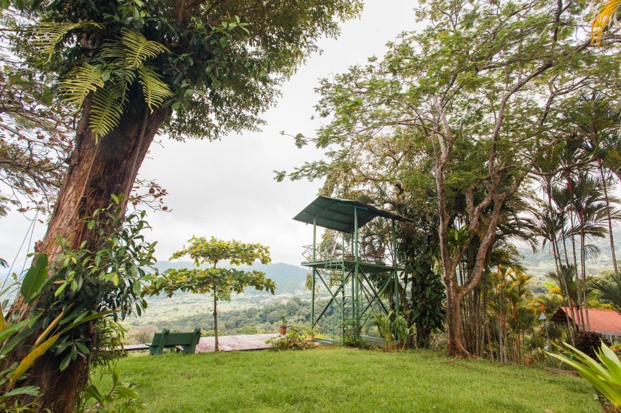 Pacific Edge Eco Lodge 多米尼克 外观 照片