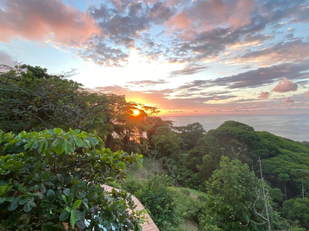 Pacific Edge Eco Lodge 多米尼克 外观 照片