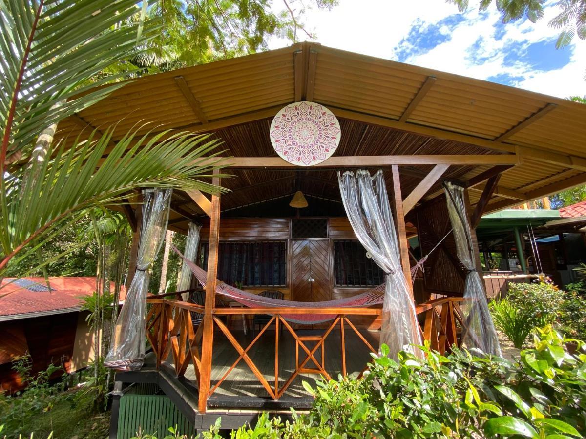 Pacific Edge Eco Lodge 多米尼克 外观 照片