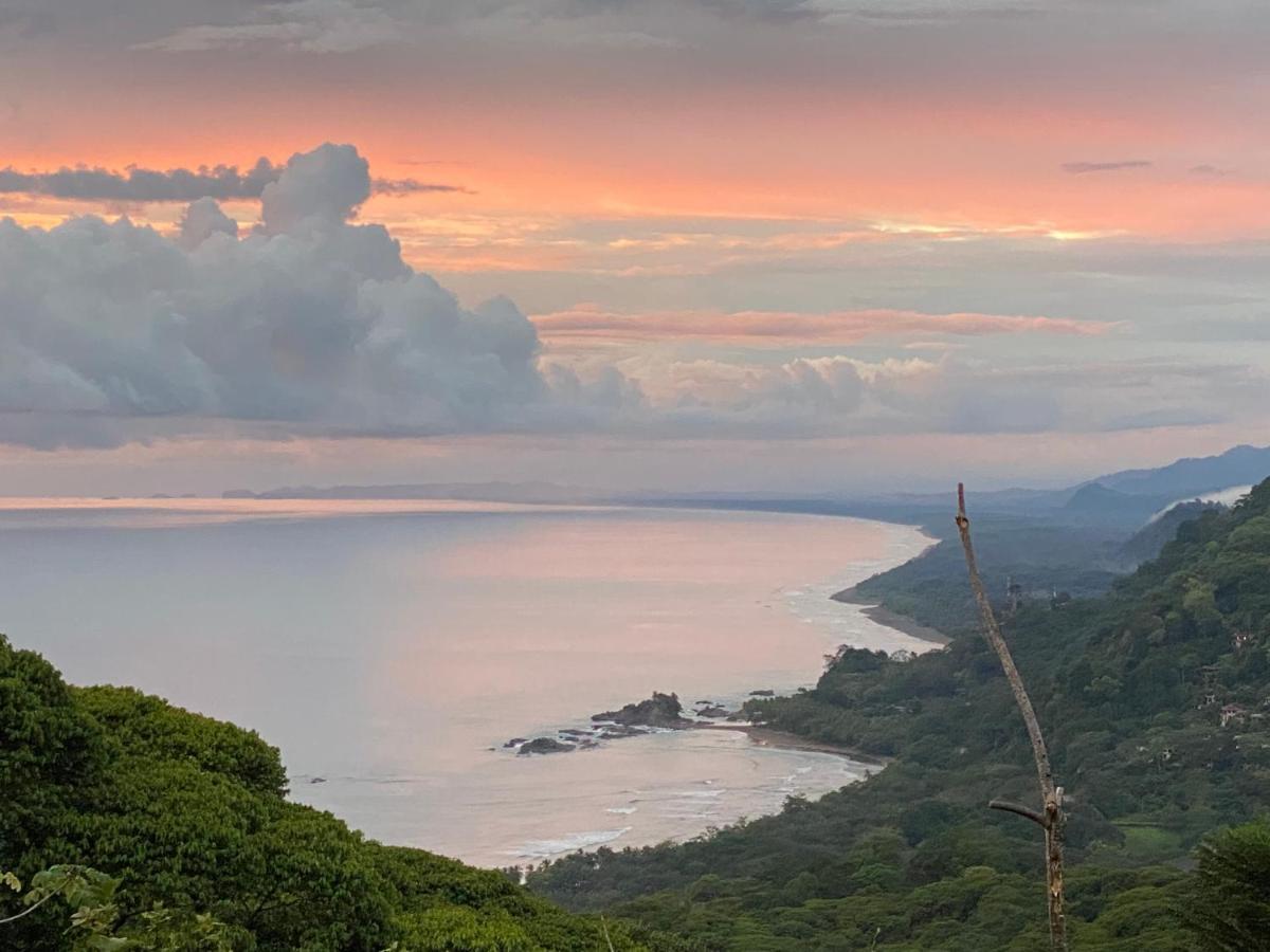 Pacific Edge Eco Lodge 多米尼克 外观 照片