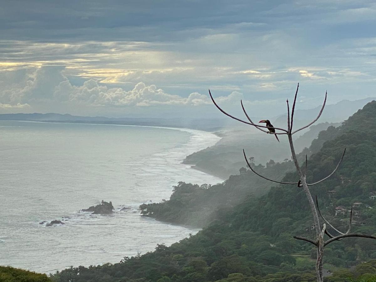 Pacific Edge Eco Lodge 多米尼克 外观 照片