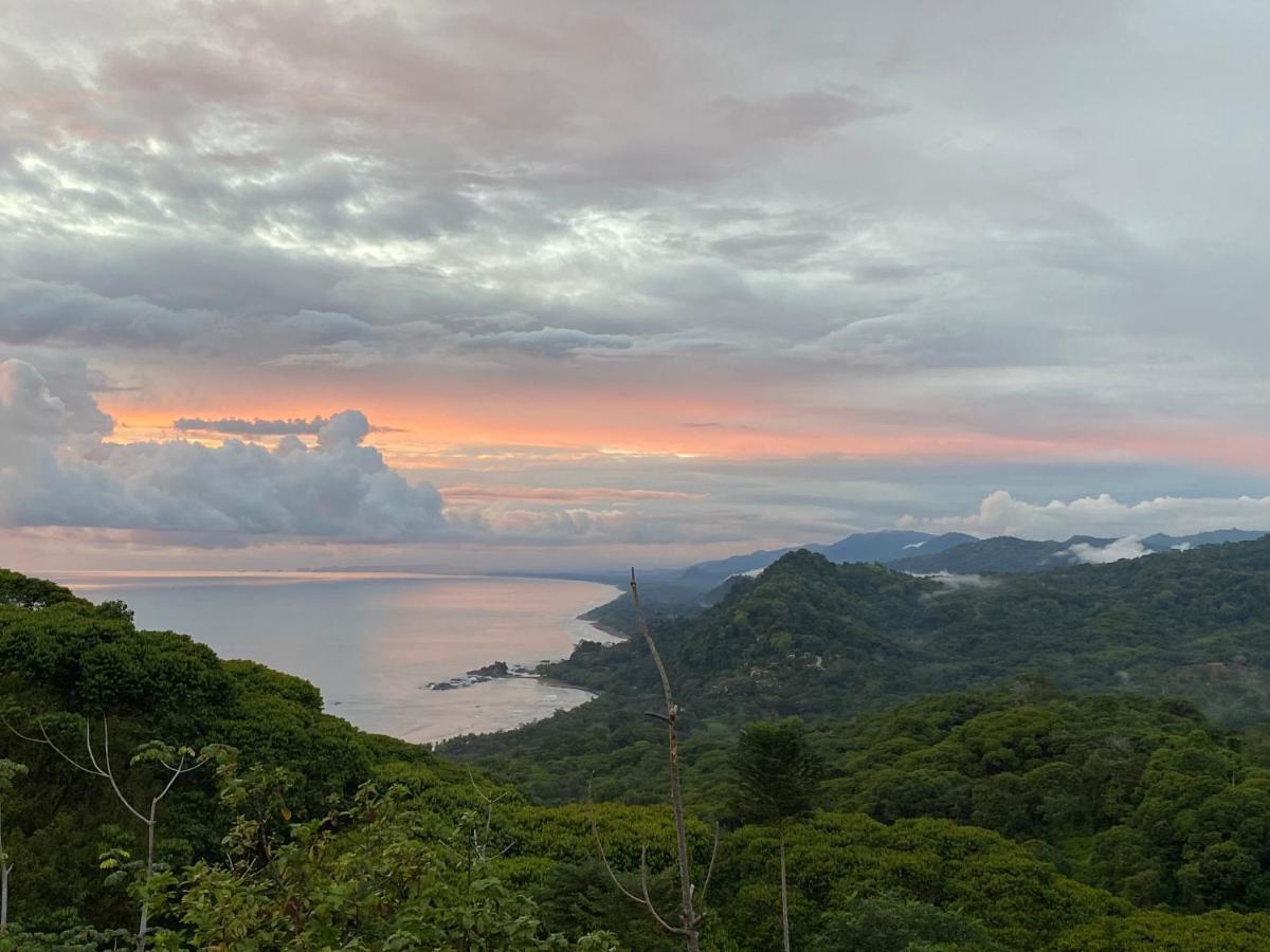 Pacific Edge Eco Lodge 多米尼克 外观 照片