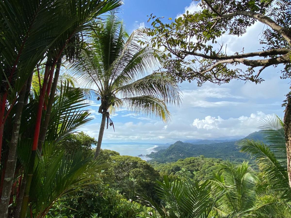 Pacific Edge Eco Lodge 多米尼克 外观 照片