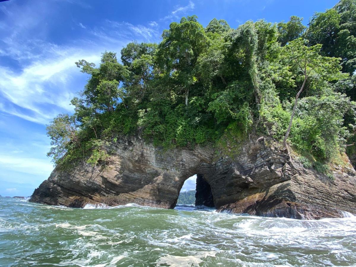 Pacific Edge Eco Lodge 多米尼克 外观 照片