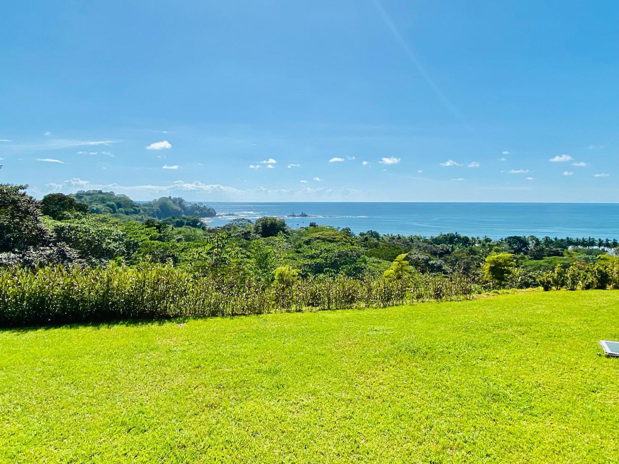 Pacific Edge Eco Lodge 多米尼克 客房 照片